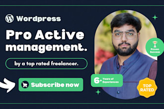 do pro active wordpress store website management
