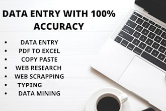do excel data entry, copy paste, PDF to excel and web research