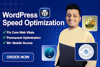 do wordpress speed optimization