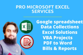 do microsoft excel and google spreadsheet pro services