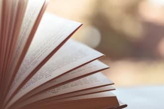 beta read your short story or novel of any genre