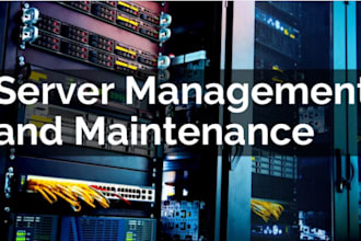 provide server maintenance, security, and backup