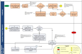 draw professional process maps and flow charts in 24 hours