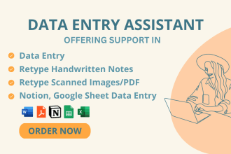 enter data into excel, word, google sheets, and notion