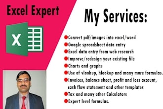 do perfect microsoft excel data entry
