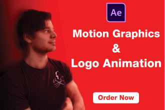 do motion graphics, logo animation or create effects in adobe after effects