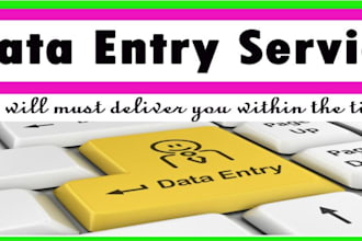data entry in 24 hours
