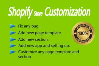 customize your shopify store and website