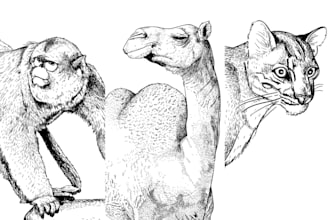 do a realistic engraving style pet and animal illustrations
