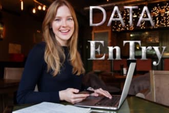 do perfect data entry data scraping data mining copy paste