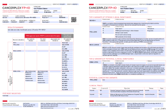 create dynamic fillable PDF form