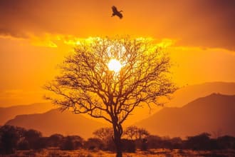 write content on climate change