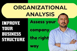 do an organizational analysis of your business, startup in 24 hours