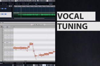 do manual pitch correction of vocal track