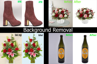 do images background removal and fast delivery within 24 hours