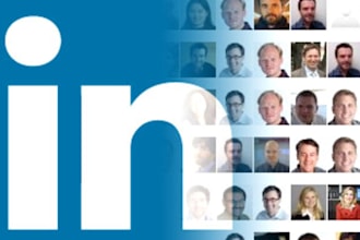 100 LinkedIn Endorsements PLUS 10  Recommendations
