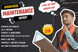 do monthly wordpress website maintenance and management