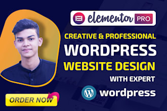 create responsive wordpress website design or blog