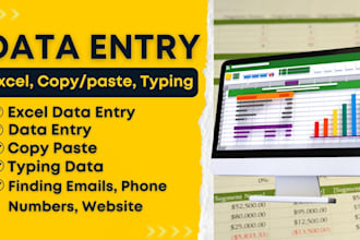 do data entry of excel, copy paste, typing
