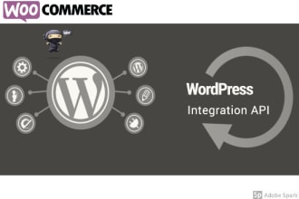 do wordpress woocommerce integration with any API
