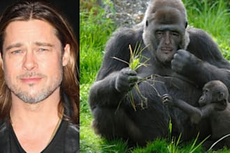realistically photoshop any face on to any animal