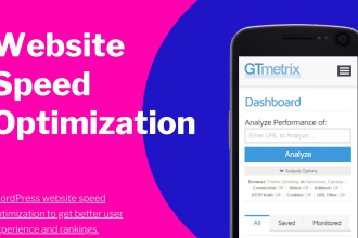do wordpress website speed optimization with gtmetrix
