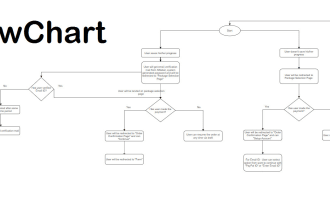 create professional flow chart and process diagram for you