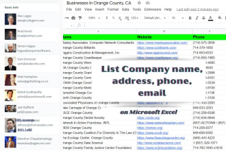 list company name, address, phone, email on microsoft excel