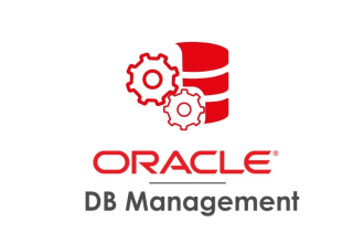 develop efficient  oracle forms, reports, sql queries, plsql