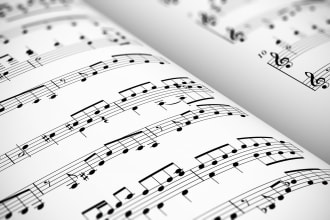 teach you music theory and solfeggio via skype