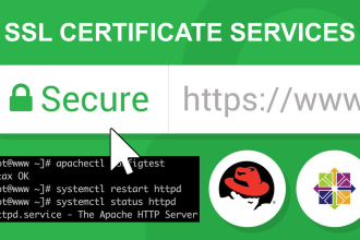 secure opencart  wordpress, setup https ssl issue fix