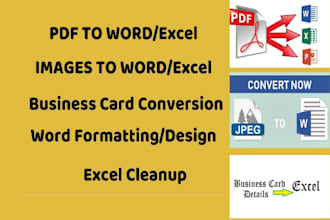 do word and excel data entry