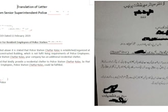 translate english to urdu and urdu to english professionally