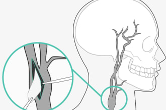 create medical and scientific illustrations