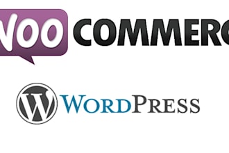 upgrade or update wordpress websites for you