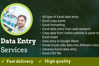 do excel data entry, copy paste, typing, data entry