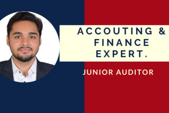 provide accounting, financial statement and bookkeeping work