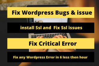 design, redesign, build, fix bugs of your wordpress website