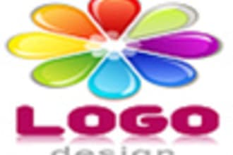 make you nice proffesional logo for your website etc