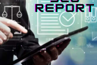 provide expert SEO audits and competitor analysis