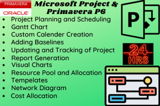 do project management, gantt chart timeline on microsoft  project or primavera