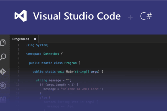complete c sharp project in visual studio within 12 hours