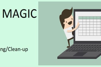 format and sort data, insert formulas and pivots in excel