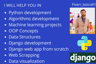 be your python developer, django developer, write python script