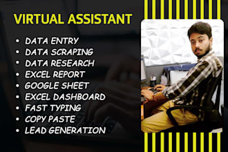 be your virtual assistant for data entry, data scraping, data mining