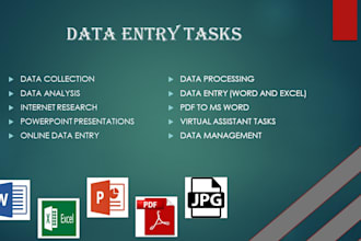 do all types of data entry, data processing and analysis
