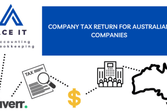 do your australian company tax return lodgement