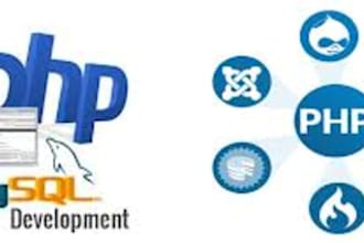 write professional PHP codes for your website/blog