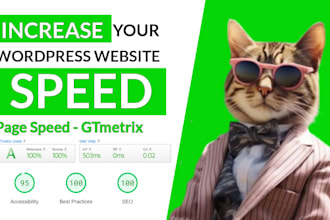 speed up wordpress website for google pagespeed insights