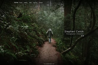 build a portfolio site for artists, musicians and performers